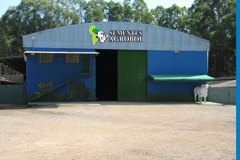 Unidade de beneficiamento da Sementes Agroboi